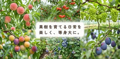 ブログサイトの実績イメージ